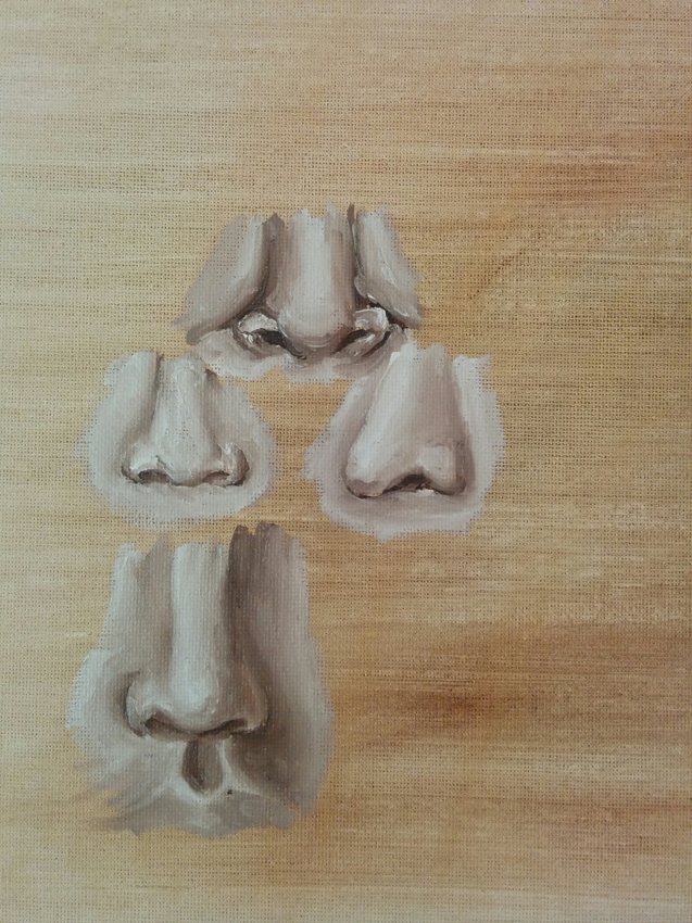 Nose study