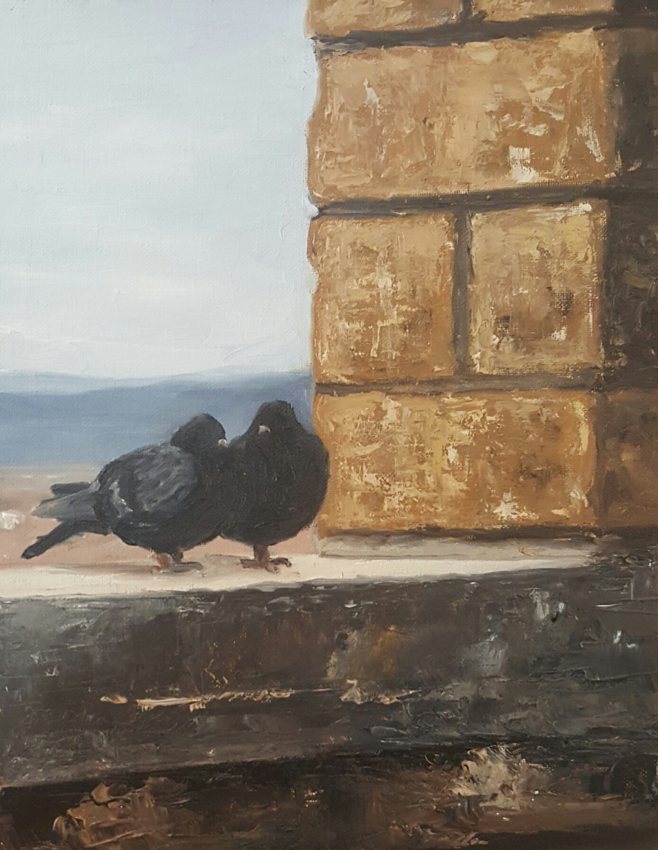 Two birds on a ledge