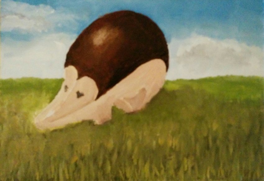 Porcupine 2